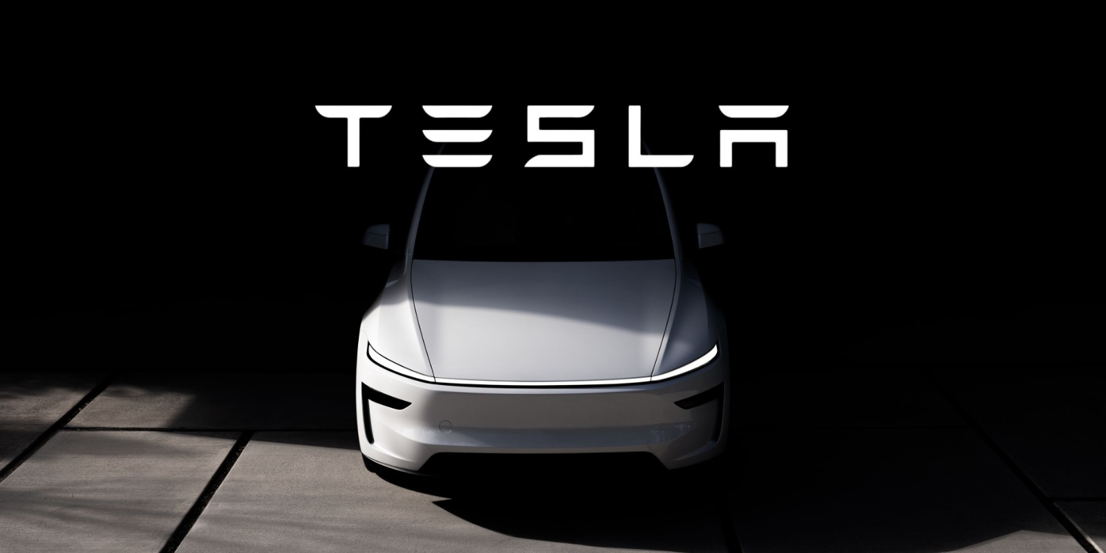 Tesla Enters India